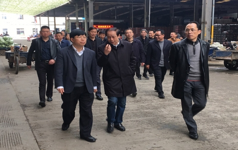2017年3月16日下午，嘉興市委常委、常務(wù)副市長樓建明帶領(lǐng)市級相關(guān)部門負(fù)責(zé)人視察嘉興蔬菜批發(fā)市場