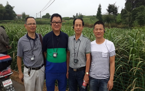 2014年8月，中國蔬菜流通協(xié)會會長戴中久與公司、市場領(lǐng)導(dǎo)一起考察蔬菜基地