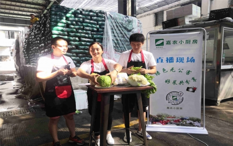 創(chuàng)意直播帶貨,本期專欄：蘭州高原夏菜！